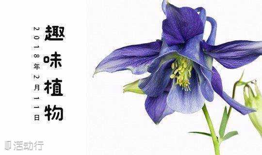 绽放花艺嘉年华 趣味植物大讲堂 精彩城市生活 尽在活动行