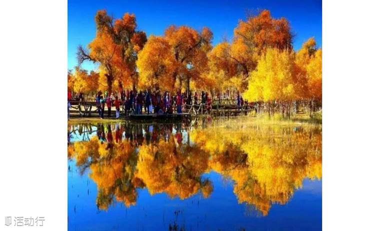 额济纳-中国最美的秋色，这个国庆我们不见不散