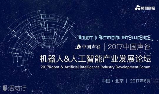 2017中国声谷·机器人&人工智能产业发展论坛