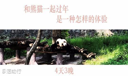 20180218-20180221大熊猫研究中心都江堰基地4日3晚，元旦亲子和熊猫滚滚一起过年，全程熊猫主题酒店，3晚不挪窝，进工作区一起科考熊猫物种