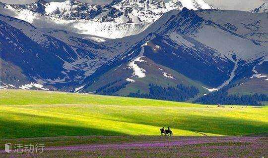 北疆│走进天山深处秘境，聆听草原开花的声音！