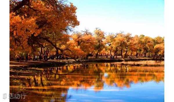 国庆 · 额济纳│中国最美的秋色，这个国庆我们不见不散