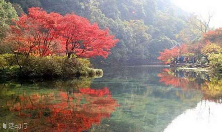 【初夏の九溪十八涧】遇见最美的杭州九溪十八涧，天然风景如画