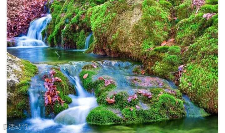 【户外交友】：7月20日 探索隐秘的峡谷瀑布群，演绎一出欢快愉悦的盛夏戏水溯溪之行