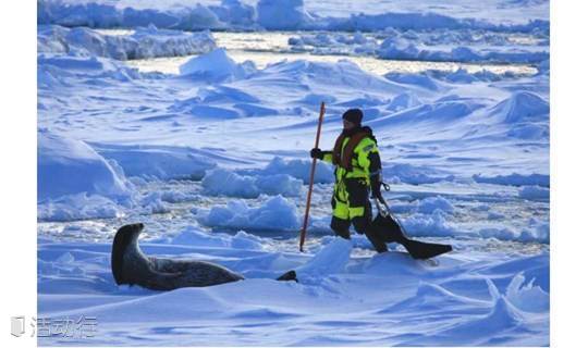 帝企鹅的奥德赛之——南极冰盖上的征程