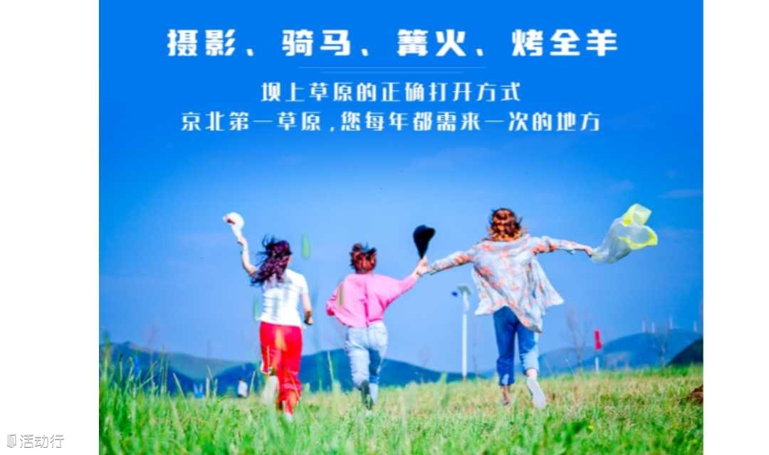 周末2日｜坝上草原｜坝上正确打开方式の摄影、骑马、篝火、烤全羊、卡拉OK