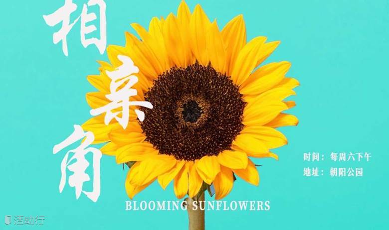 朝阳公园相亲角