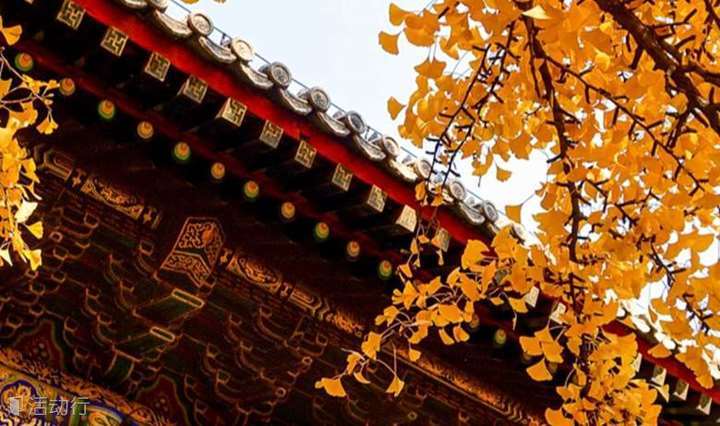 周末1日｜红螺寺｜名山古刹-祈福纳祥-登高望远-摄影赏景-雁栖湖观景台 休闲1日