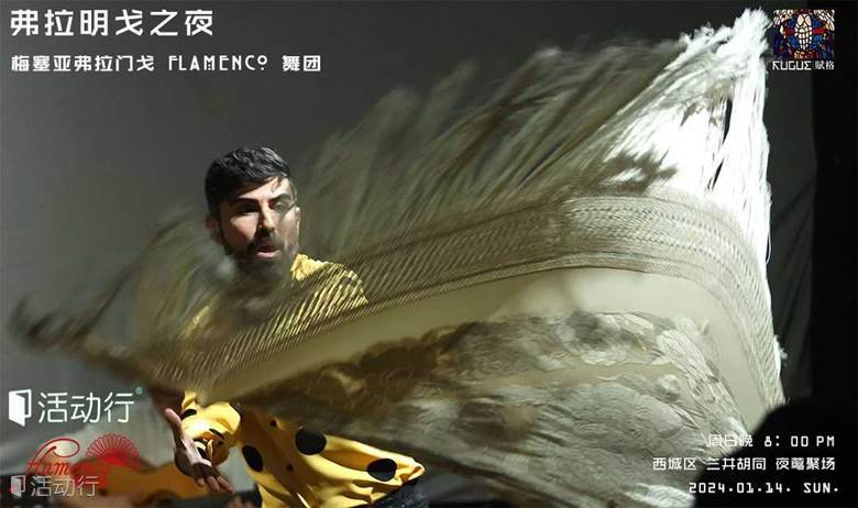 劇場(chǎng)中的弗拉明戈