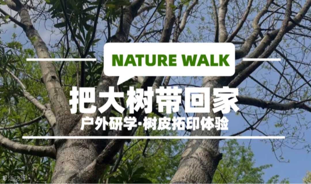 Nature Walk 把大树带回家 | 户外研学+树皮拓印体验