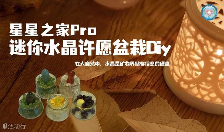 养育梦想和愿望 | 迷你水晶许愿盆栽Diy体验