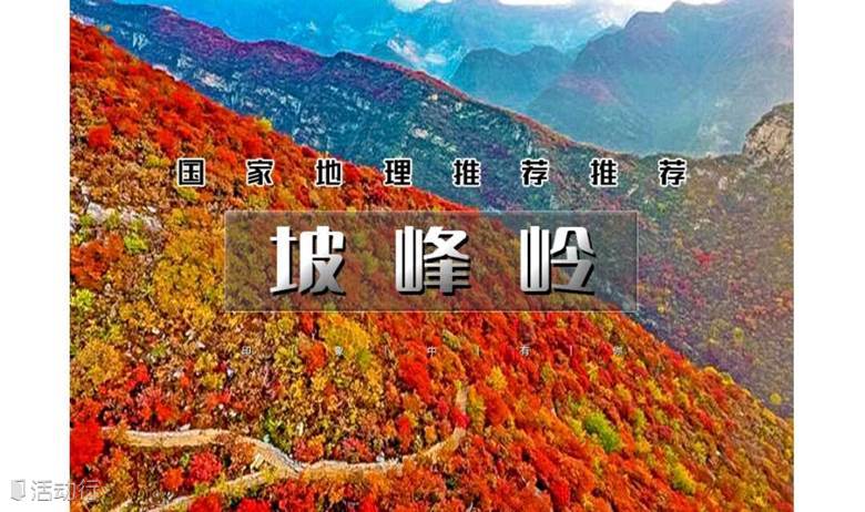 1日｜又见•坡峰岭红叶｜国家地理推荐の最火红叶观赏地-6公里环形赏红叶栈道漫步红色海洋