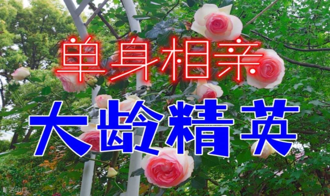 23号下午*大龄精英单身&玫瑰之约*遇见爱情&百人大型相亲