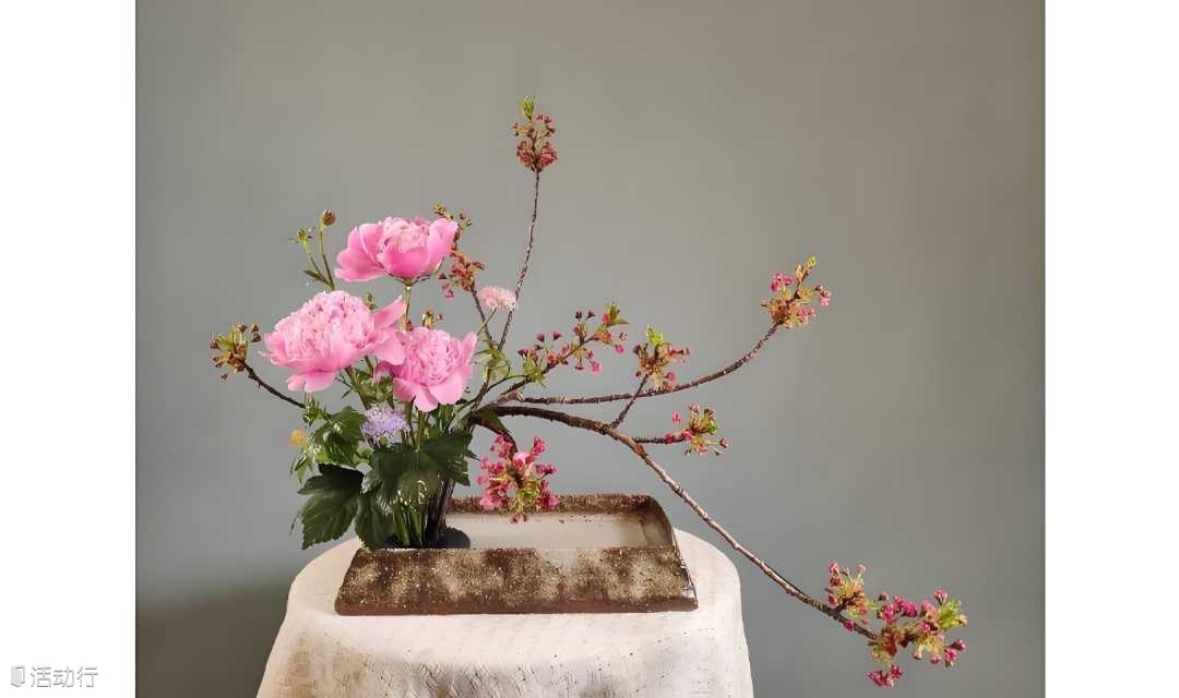 零基础体验禅意插花