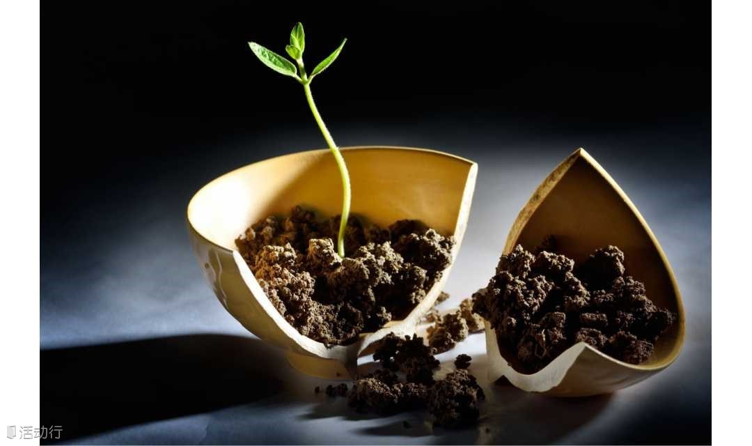 【英语活动】采取不完美行动的力量