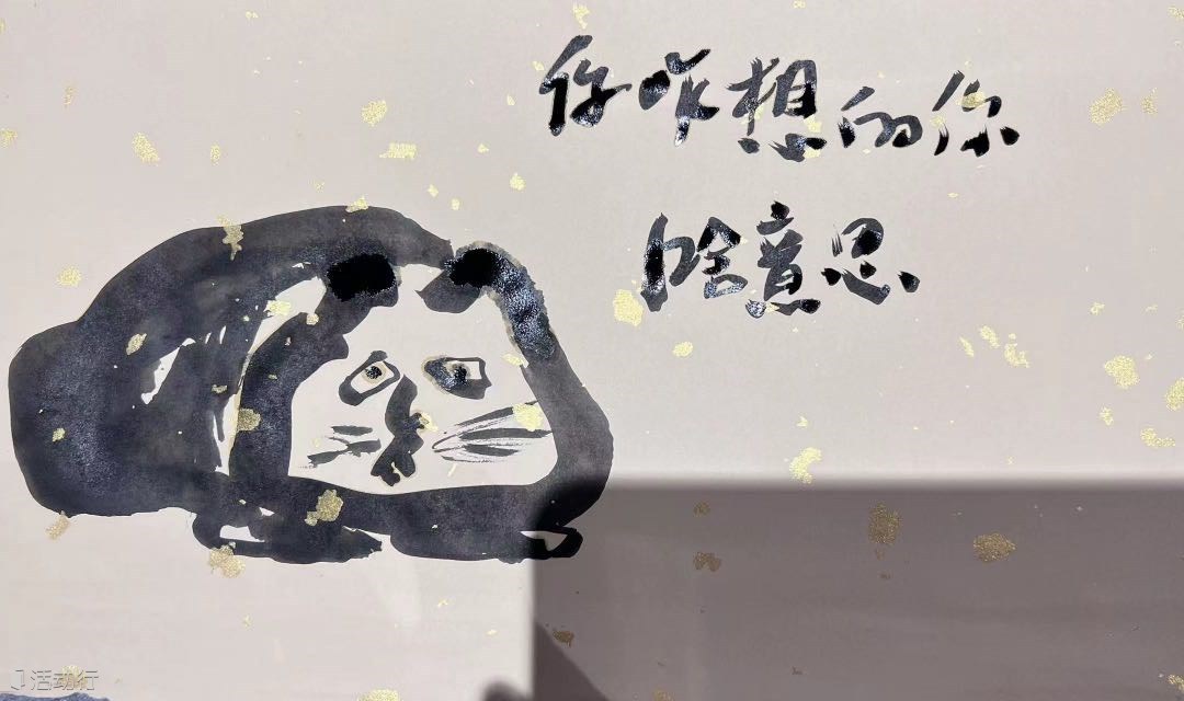 《OH牌》【自我 伴侣 亲子 健康 事业 财富 原生家庭 世界 】八大关系探索与解析