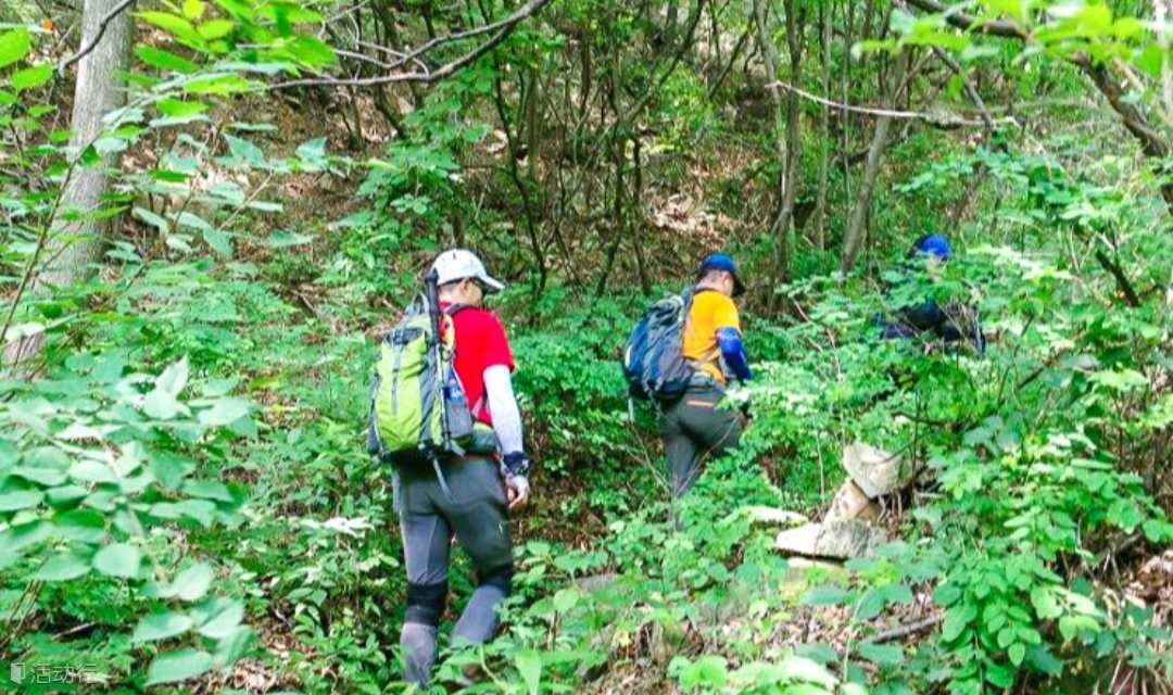 徒步户外 周末1日【百泉山】泉水叮咚伴我行，峪道河-百泉山-椴树岭，探秘紫云秘境