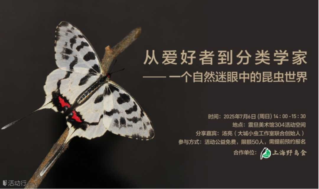 A²M 讲座 | 【博物自然】从爱好者到分类学家——一个自然迷眼中的昆虫世界