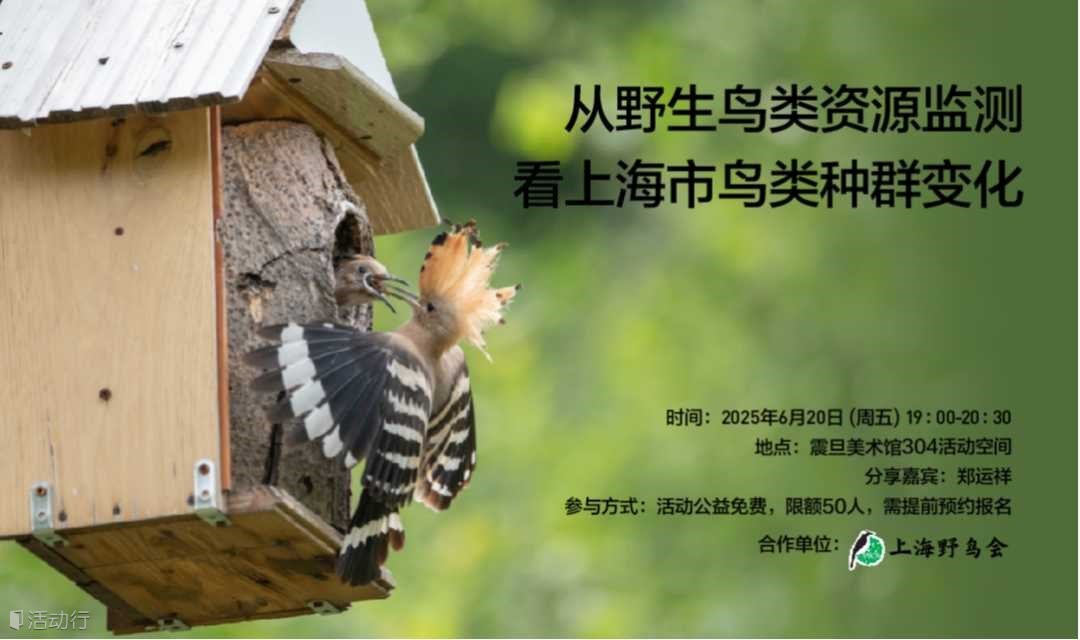 A²M 讲座 | 【博物自然】从野生鸟类资源监测看上海市鸟类种群变化